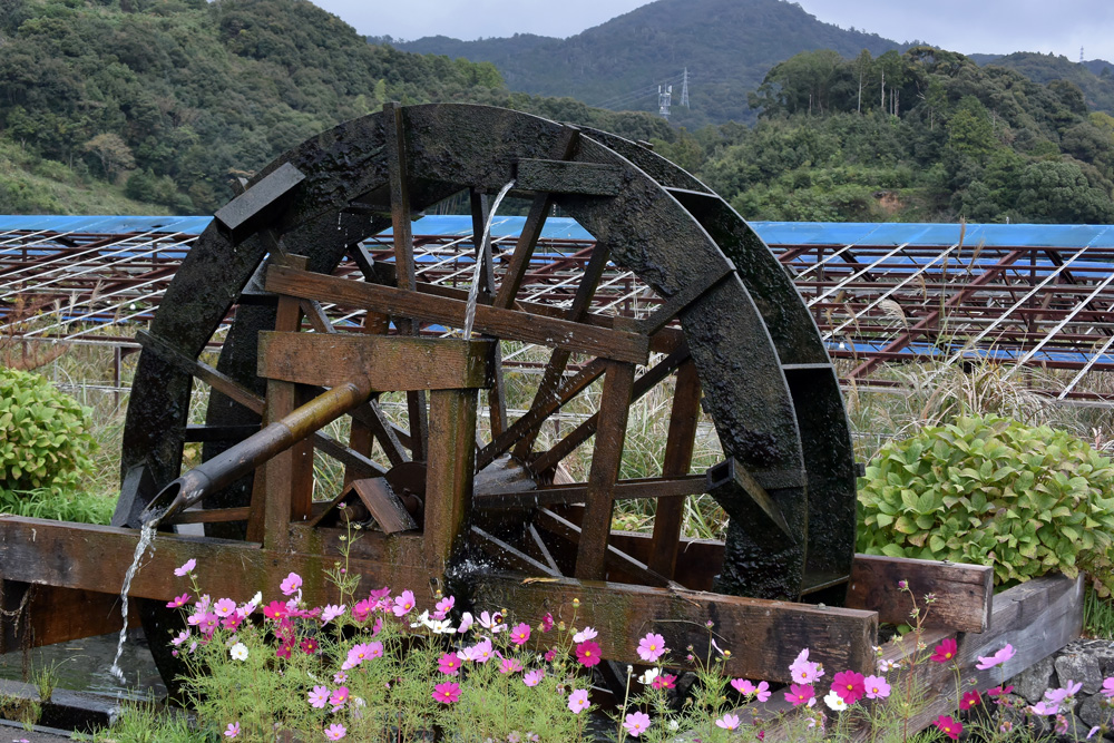 b0151689_1775897.jpg