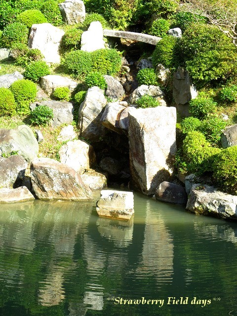 秋の京都散策　智積院_c0087094_17353497.jpg