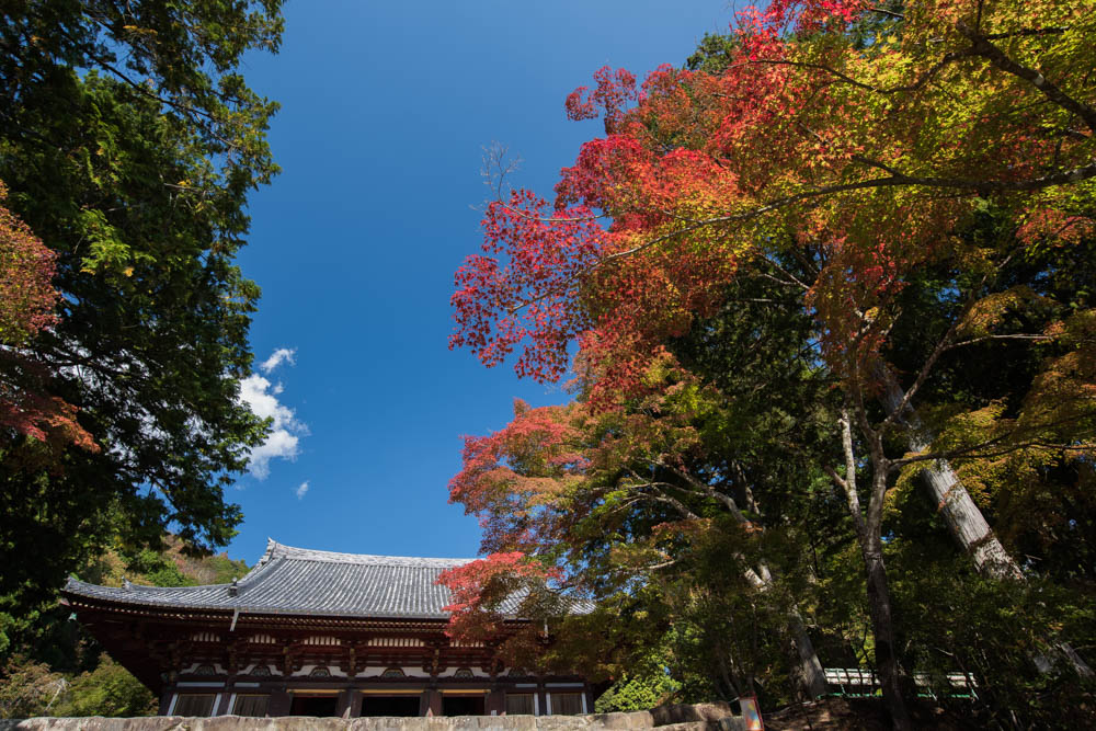 神護寺_d0282594_22555727.jpg