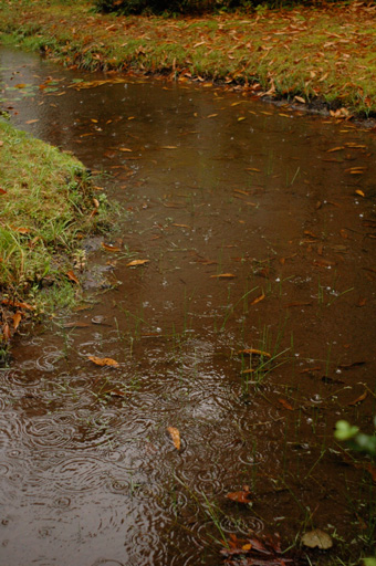 a0061599_8113420.jpg