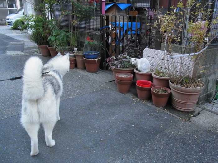 さあ眺めよう♪ (*^_^*)_c0049299_21523166.jpg
