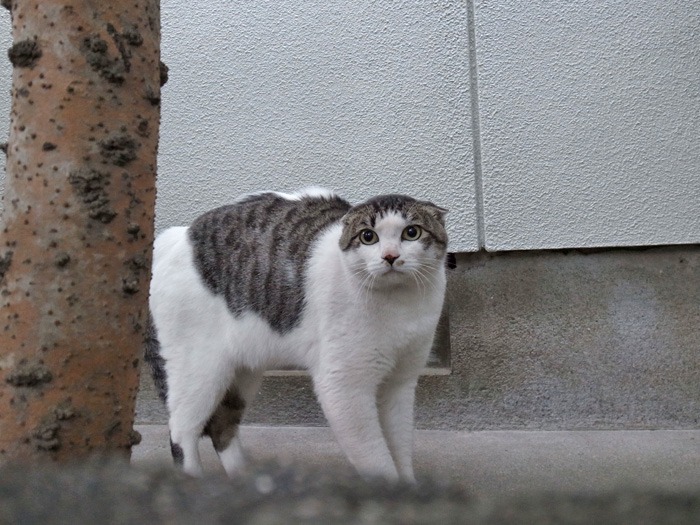 さあ眺めよう♪ (*^_^*)_c0049299_21524196.jpg
