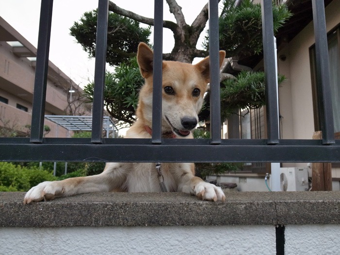 さあ眺めよう♪ (*^_^*)_c0049299_21531064.jpg