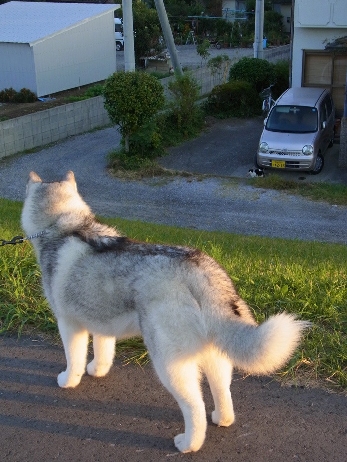 さあ眺めよう♪ (*^_^*)_c0049299_2153374.jpg