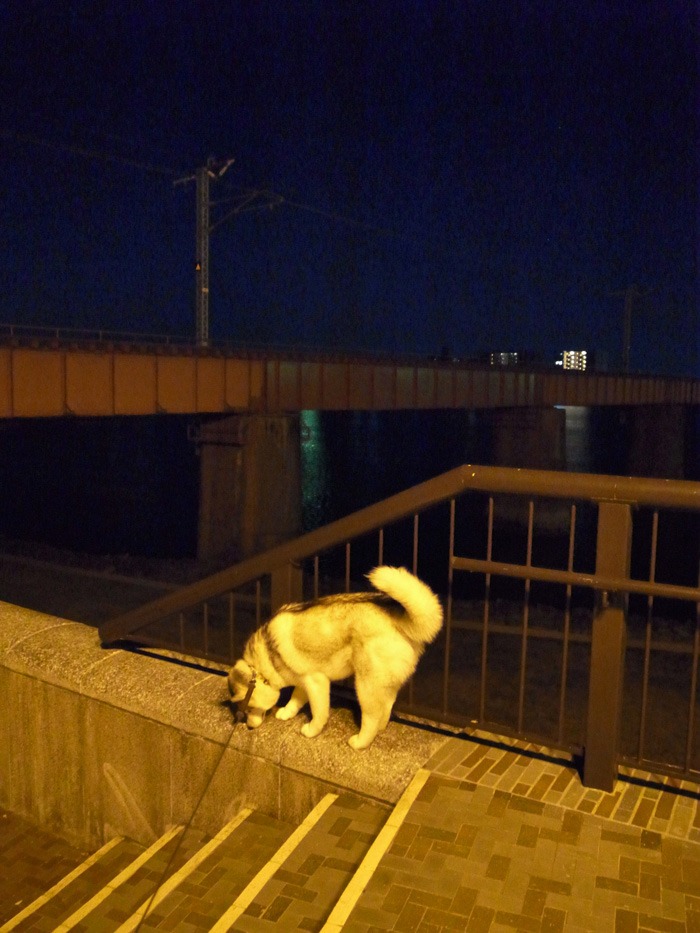 さあ眺めよう♪ (*^_^*)_c0049299_21564120.jpg