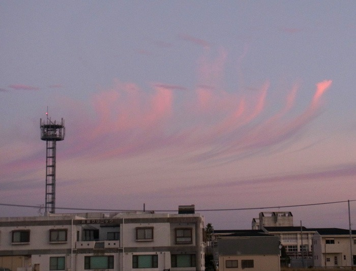 さあ眺めよう♪ (*^_^*)_c0049299_2223268.jpg
