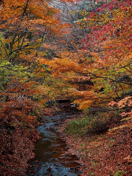 e0242804_1127254.jpg