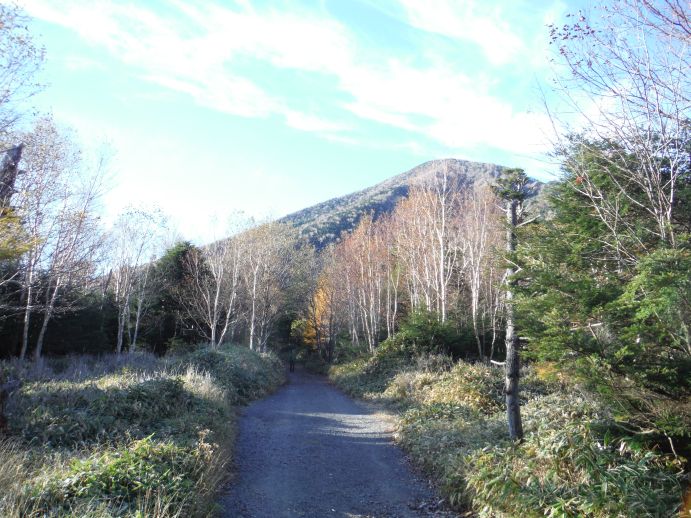 b0172805_13372726.jpg