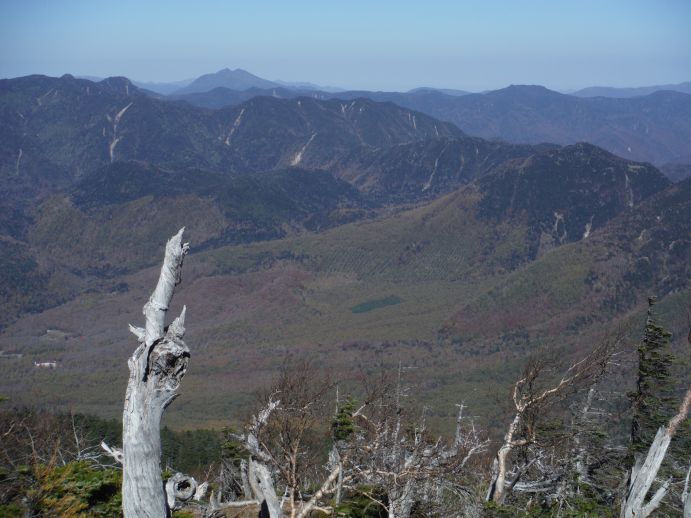 b0172805_1342229.jpg