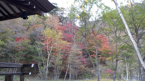 10月の野外活動①男体山登山_b0172805_14165456.jpg