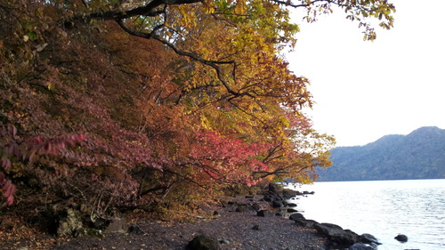 b0172805_14185230.jpg
