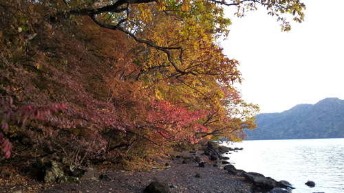 10月の野外活動①男体山登山_b0172805_14185230.jpg