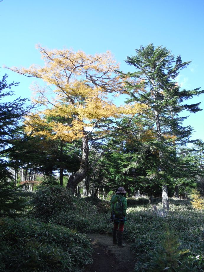 10月の野外活動①男体山登山_b0172805_147878.jpg