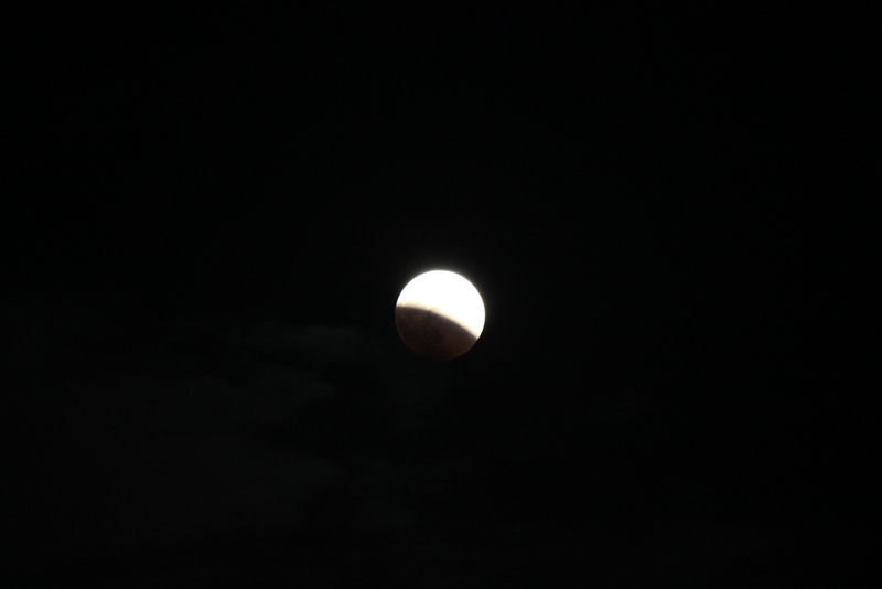 f0224506_20150350.jpg