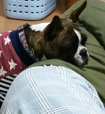 c0326807_122334.jpg