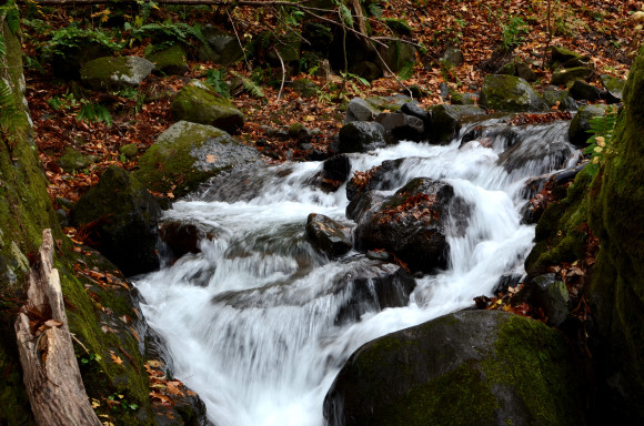 酸ヶ湯にいってみた_c0336907_08403675.jpg