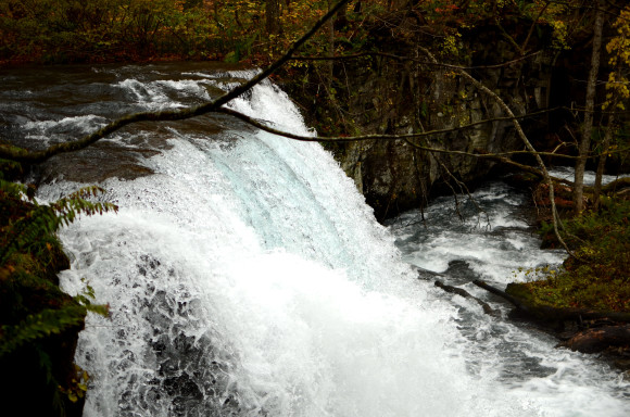c0336907_08413510.jpg