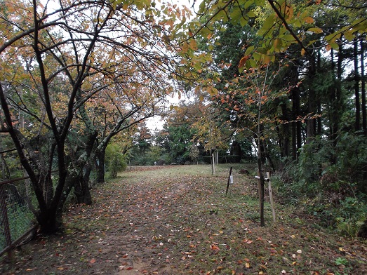 桜井ＷＦ 鳥見山から外鎌山_d0288411_19471873.jpg