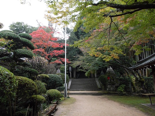 桜井ＷＦ 鳥見山から外鎌山_d0288411_19485222.jpg