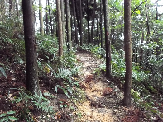 桜井ＷＦ 鳥見山から外鎌山_d0288411_19591342.jpg