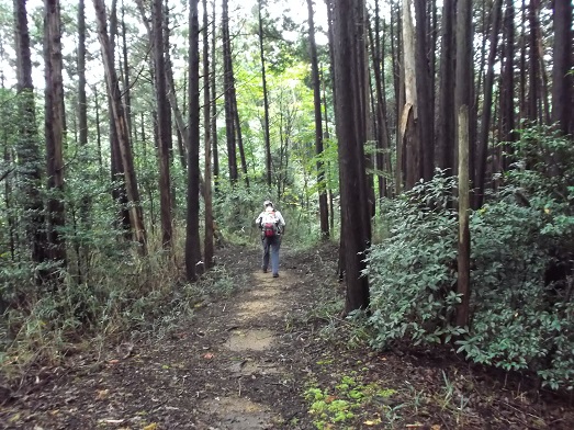 桜井ＷＦ 鳥見山から外鎌山_d0288411_20000984.jpg