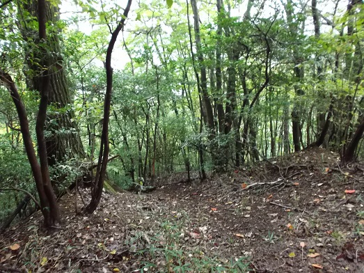 桜井ＷＦ 鳥見山から外鎌山_d0288411_20022309.jpg