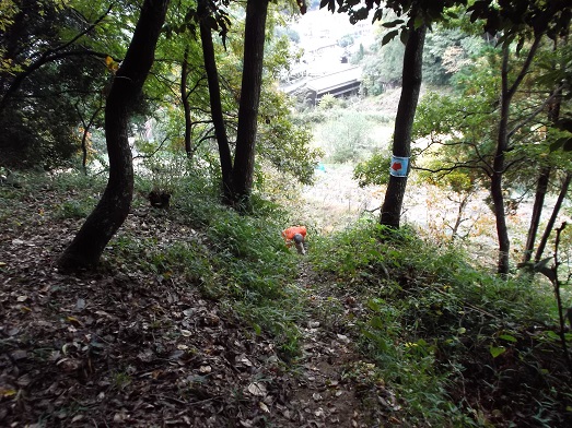 桜井ＷＦ 鳥見山から外鎌山_d0288411_20033967.jpg