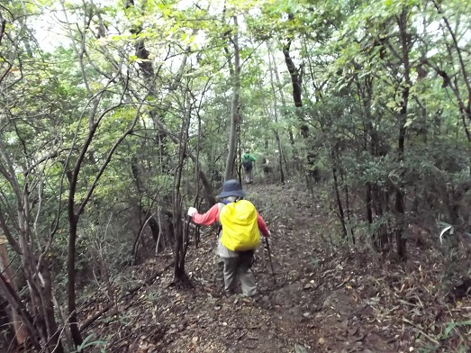 桜井ＷＦ 鳥見山から外鎌山_d0288411_20082756.jpg