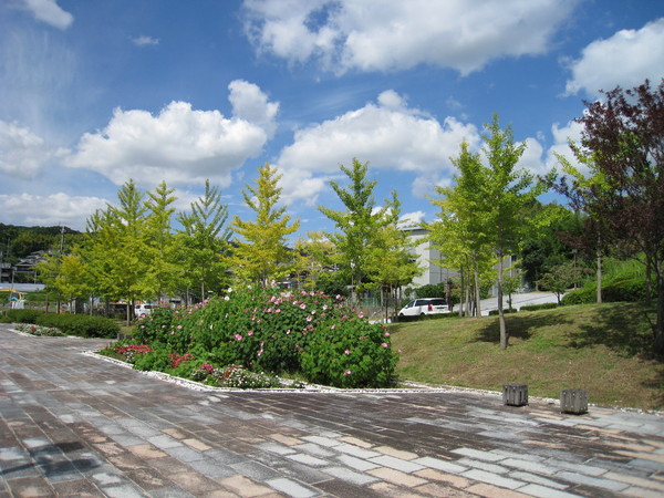 平群神社（へぐりじんじゃ、奈良県生駒郡）_d0287413_1853019.jpg