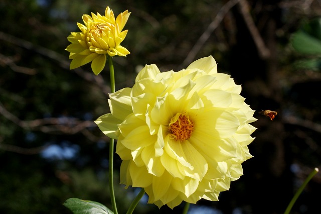 e0117318_2233121.jpg