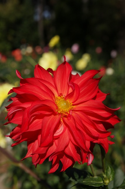 e0117318_22342341.jpg