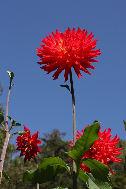 e0117318_2235383.jpg