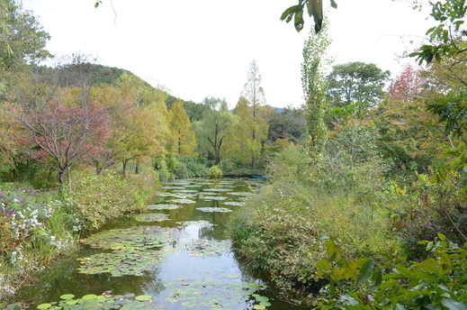 「水の庭」の睡蓮_e0135518_9446100.jpg