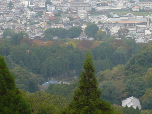 a0238019_20355766.jpg