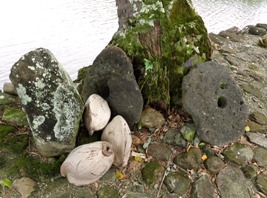 ヤシの実は知っている_a0043520_21431898.jpg