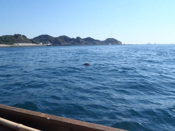 c0222430_17263858.jpg