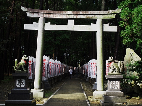 豊川稲荷_c0077531_15443639.jpg
