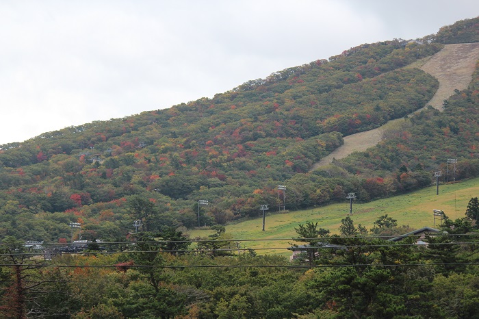 e0200132_23333822.jpg