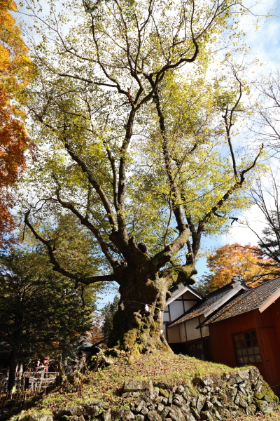f0229832_10114525.jpg