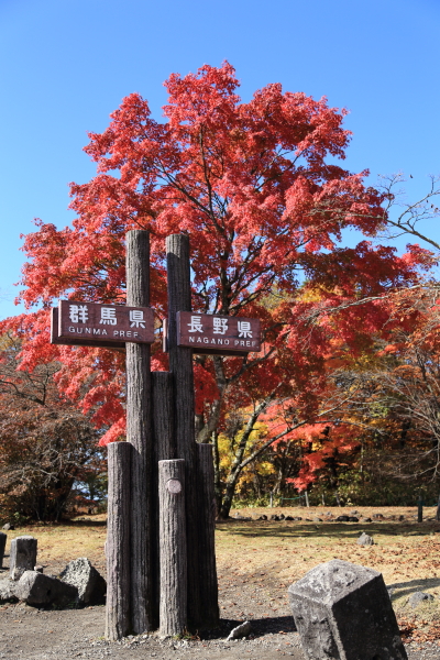 f0229832_10144590.jpg