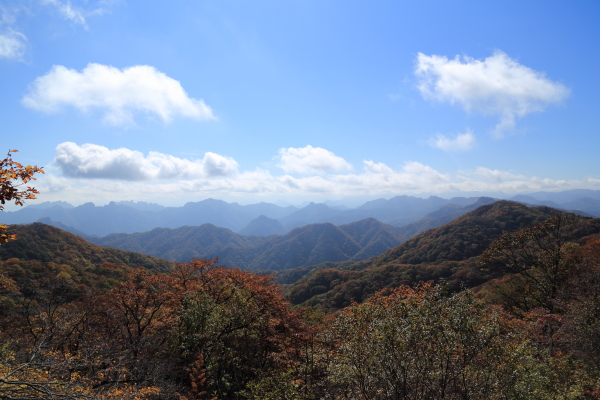f0229832_10224614.jpg