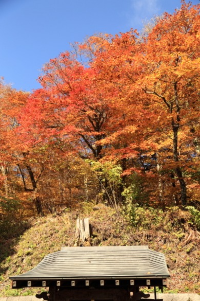 f0229832_1064975.jpg