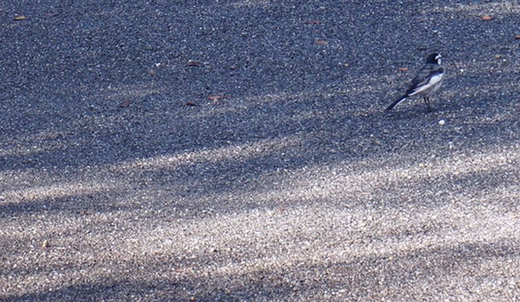 c0249836_20133011.jpg