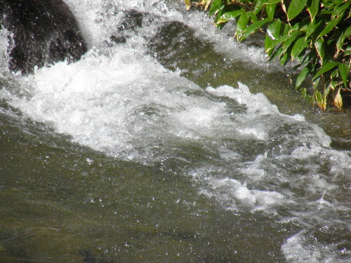 c0338136_23332104.jpg