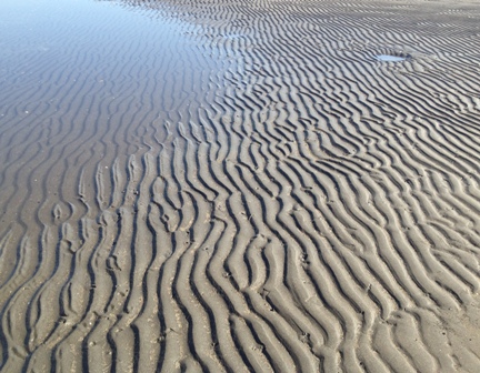 b0330040_20113140.jpg