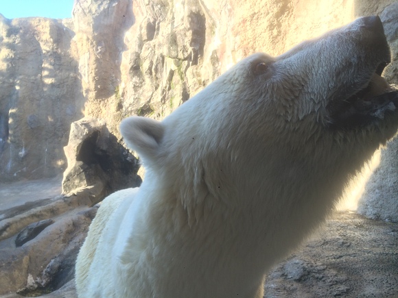 ～北海道はでっかいドー!～ エサヌカ線編_b0342254_2203349.jpg