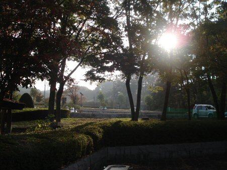 f0329554_15060412.jpg