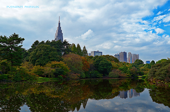 新宿御苑の紅葉は…_a0245857_0465799.jpg