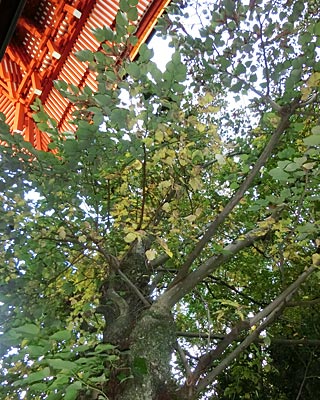 e0035757_23594574.jpg