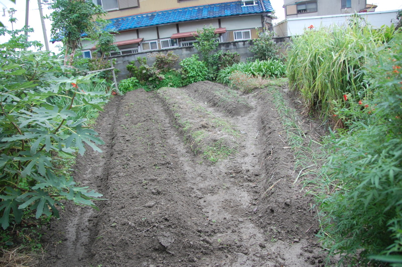 c0108460_15482914.jpg